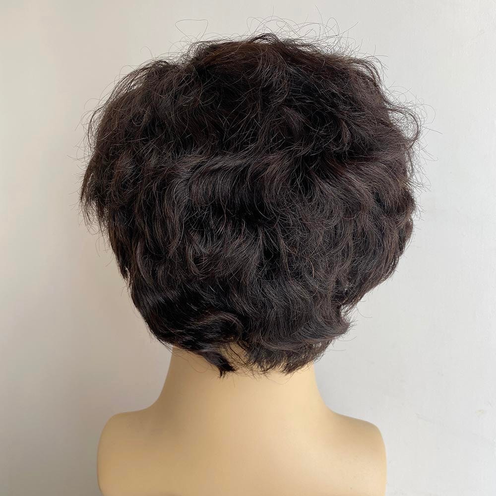 nevermindyrhead Men Human Hair Wig Black 13X6 Lace Front Short Curly Widows Peak Hairline