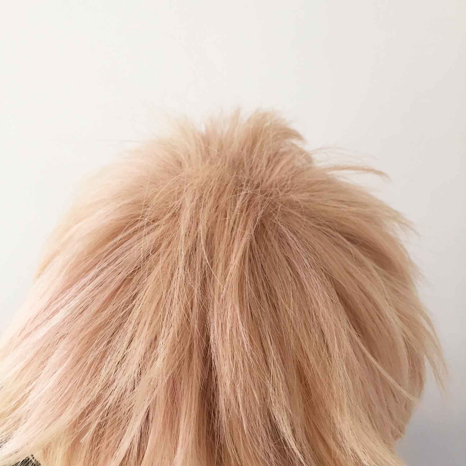 nevermindyrhead Men Blonde Short Straight Fringe Bangs Layered Cosplay Wig