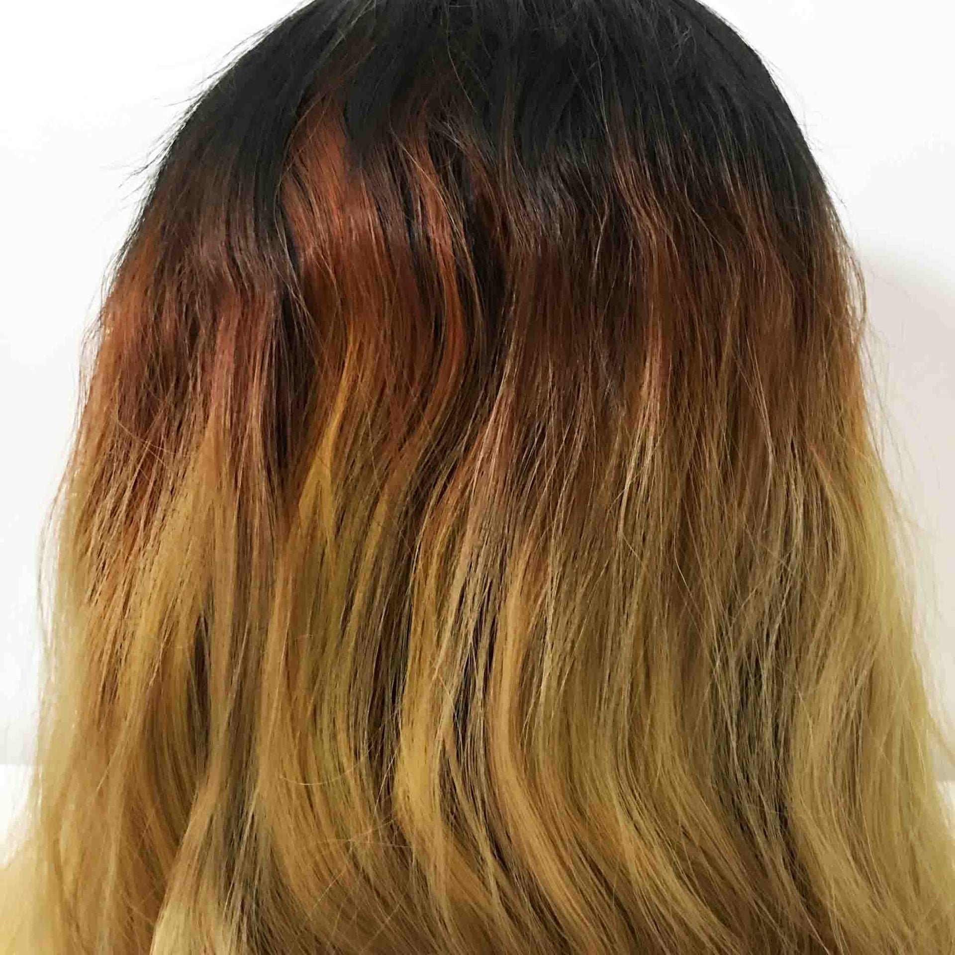 nevermindyrhead Women Ombre Brown Dark Root Lace front Long Curly Middle Part Wig