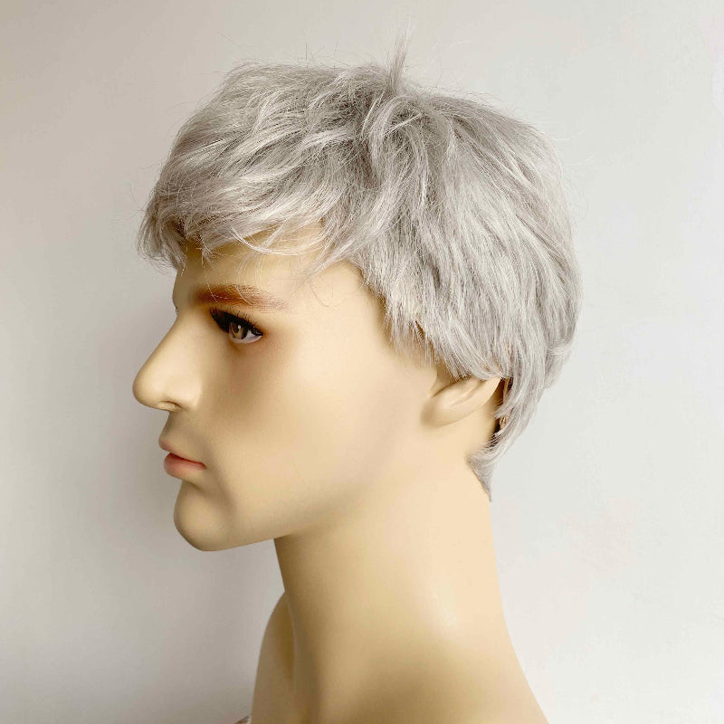 nevermindyrhead Men Gray Silver Wig With Bangs Short Straight Hair For Cosplay Costume Party