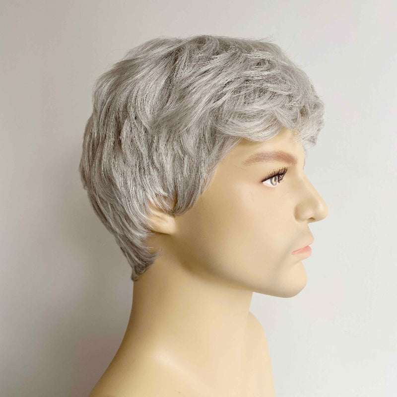 nevermindyrhead Men Gray Silver Wig With Bangs Short Straight Hair For Cosplay Costume Party