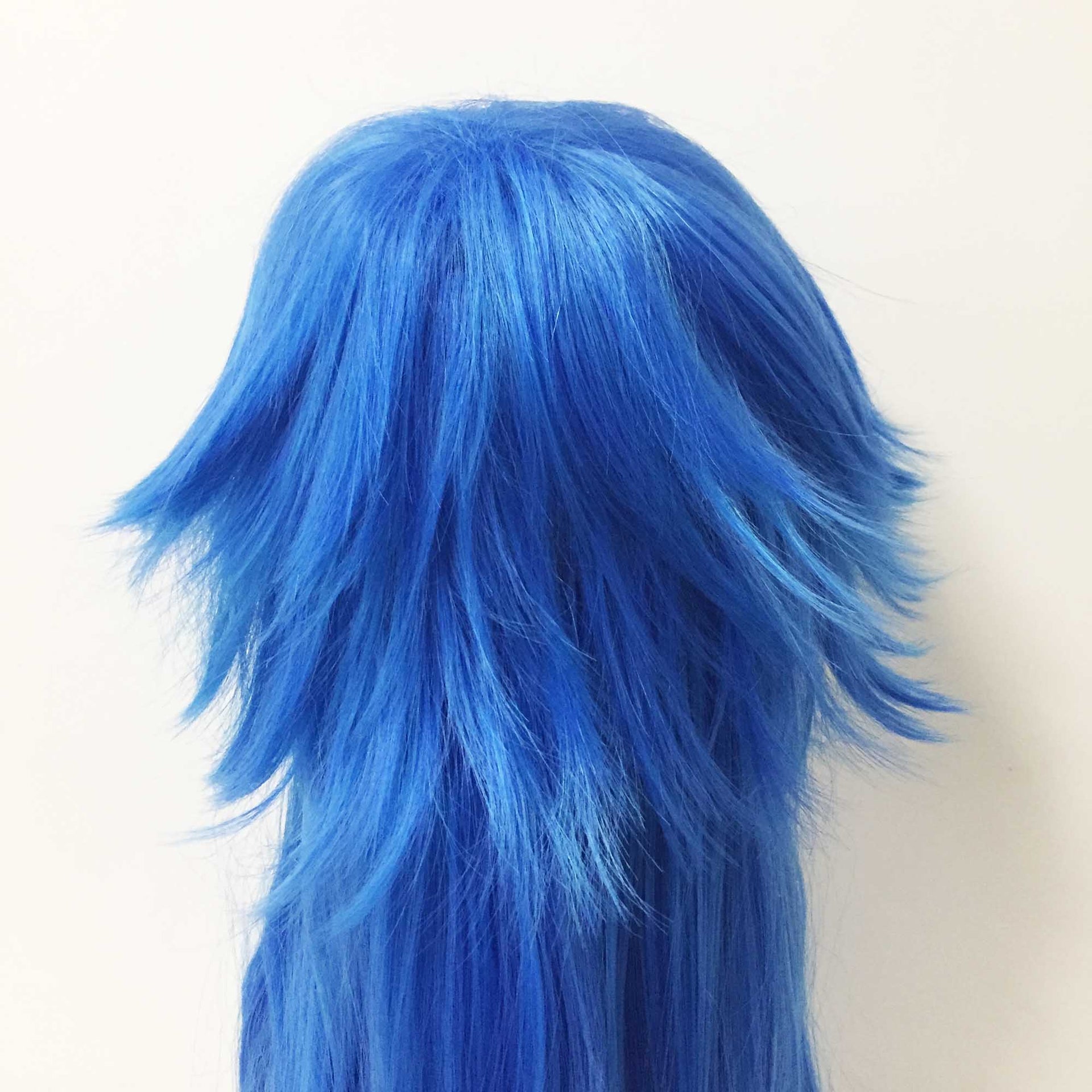 nevermindyrhead Men Blue Two-Tone Long Straight Layered Fringe Bangs Mullet Cosplay Wig