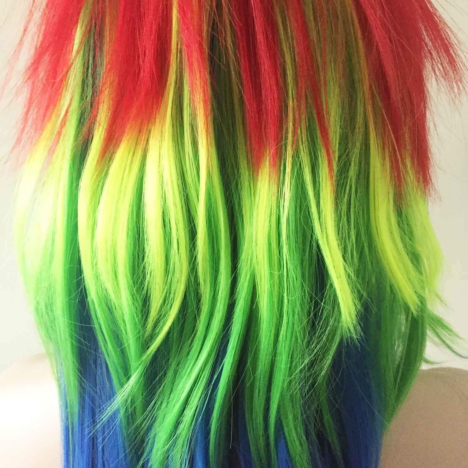 nevermindyrhead Women Rainbow Colors Long Straight Fringe Bangs Layered Party Wig